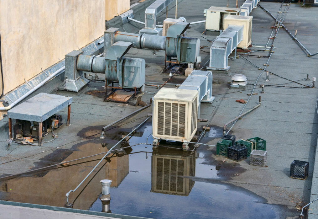 The True Cost of Roof Leaks